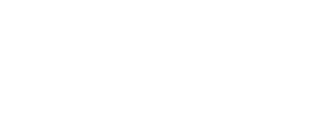 Goggo Network Logo